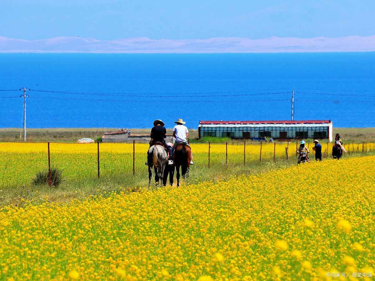 青海旅行跟团多少钱